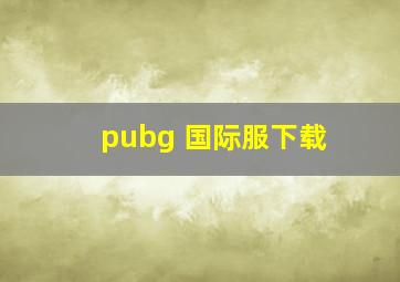 pubg 国际服下载